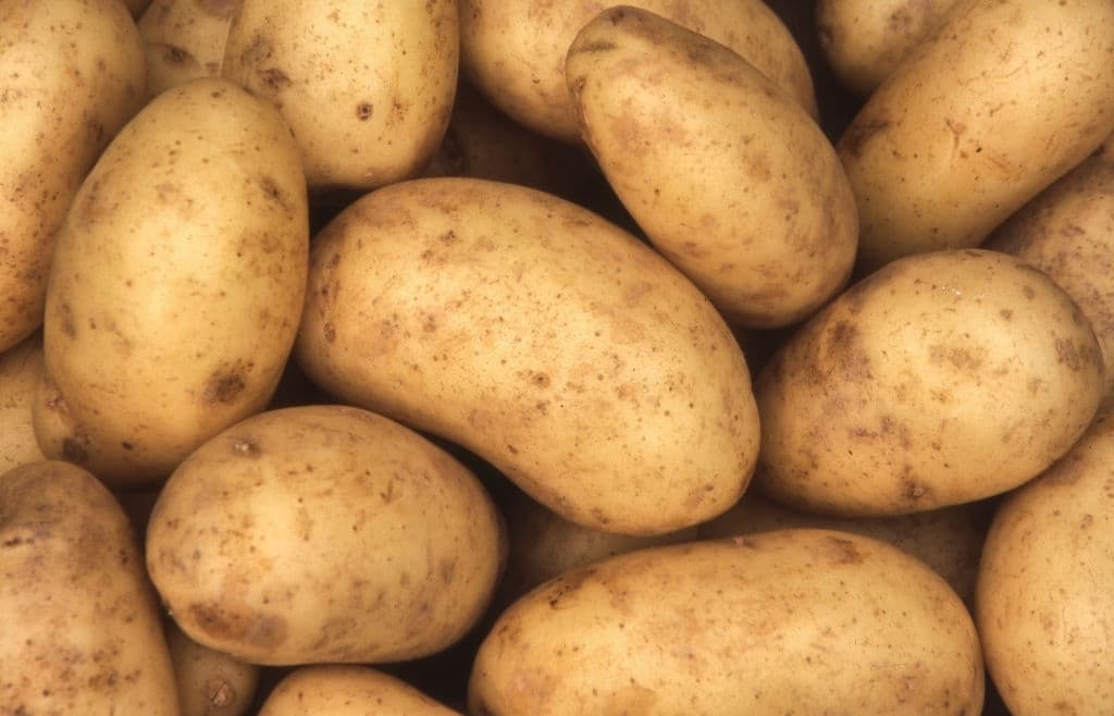 Uzbekistan’s potato imports up by 70 thousand tons