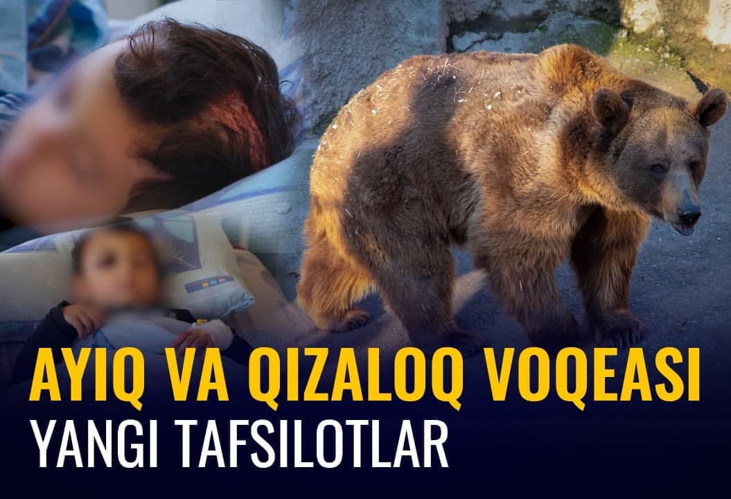 Айиқ чангалига ташланган қизалоқ воқеаси: очиқ қолаётган саволлар
