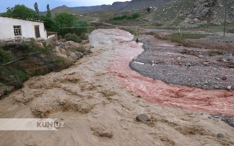 В Сурхандарье двух человек унесло селем 
