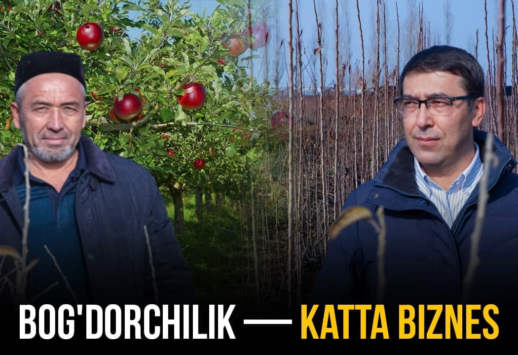 «Bularni qilmay turib, yuqori natijaga erisholmaymiz» - mutaxassislardan O‘zbekistonda ko‘chatchilikni rivojlantirish bo‘yicha takliflar