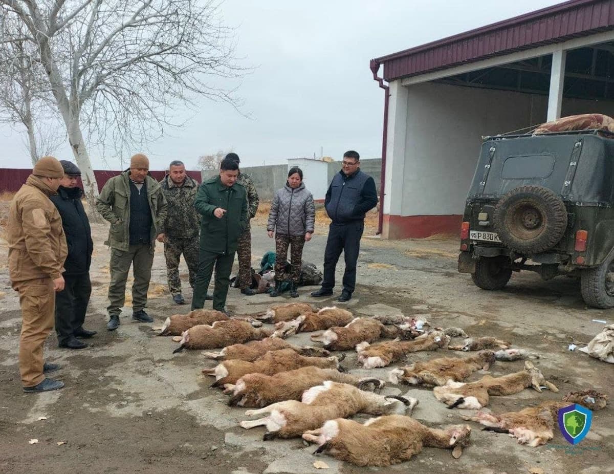 Ekoqo‘mdan tizimdagi inspektorlarning brakonerlarga qarshi yetarli kurasholmayotgani bo‘yicha izoh so‘raldi