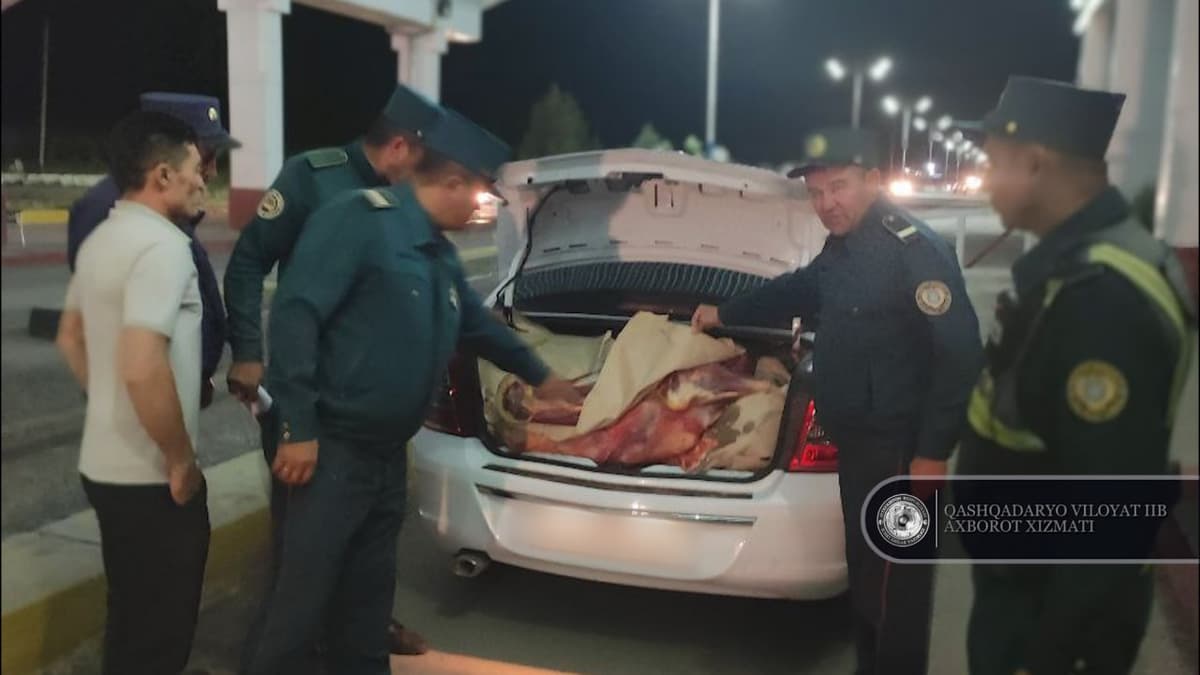 Qashqadaryodan Toshkentga olib ketilayotgan 830 kilogramm iste’molga yaroqsiz go‘sht to‘xtatib qolindi