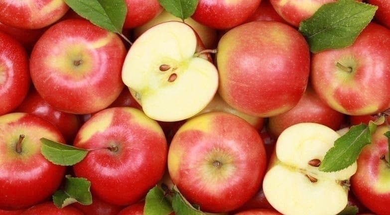 O‘zbekiston olmasi asosan Qozog‘istonga eksport qilinayotgani ma’lum bo‘ldi