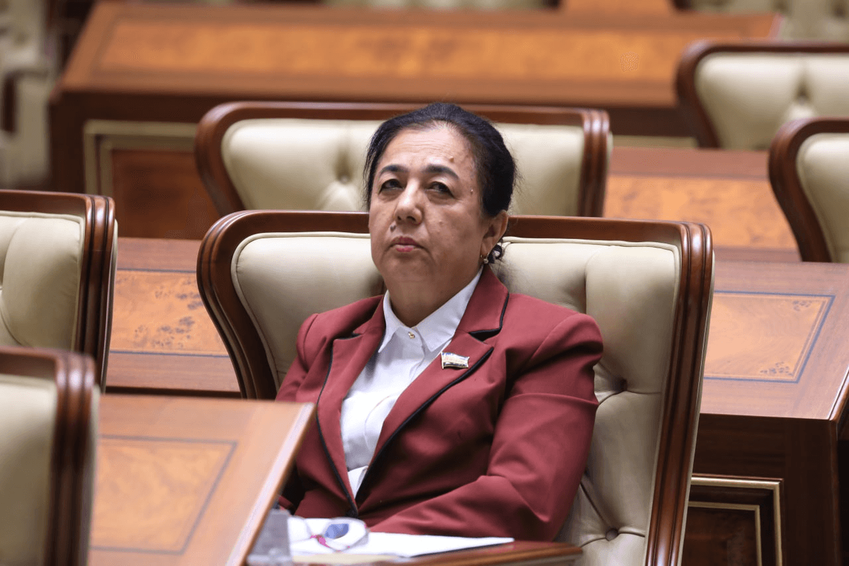 Senator amaldagi Konstitutsiyada bor normani yangi Konstitutsiya loyihasiga kiritishni taklif qildi