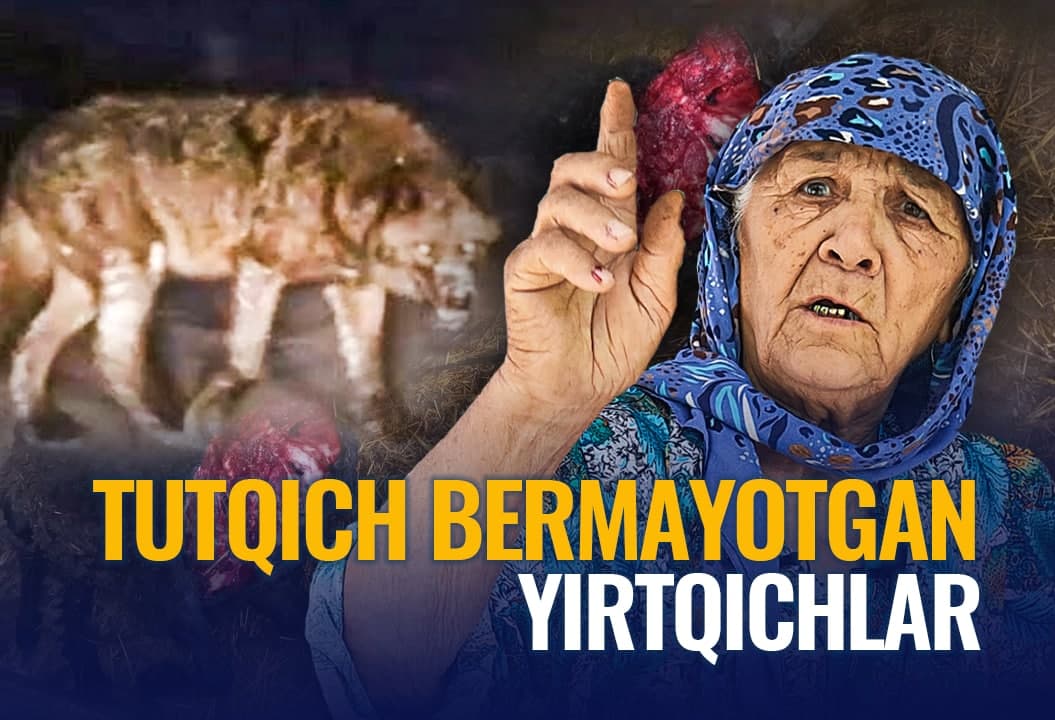 Tutqich bermayotgan yirtqichlar. Xonqizda noma’lum maxluqlar chorvalarni bo‘g‘izlab ketmoqda 