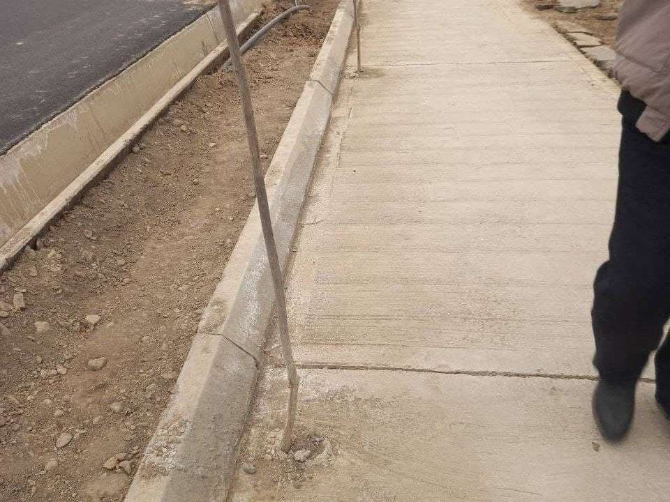 Jizzaxda yo‘l bo‘yidagi 75 tup daraxtning atrofi betonlab tashlandi