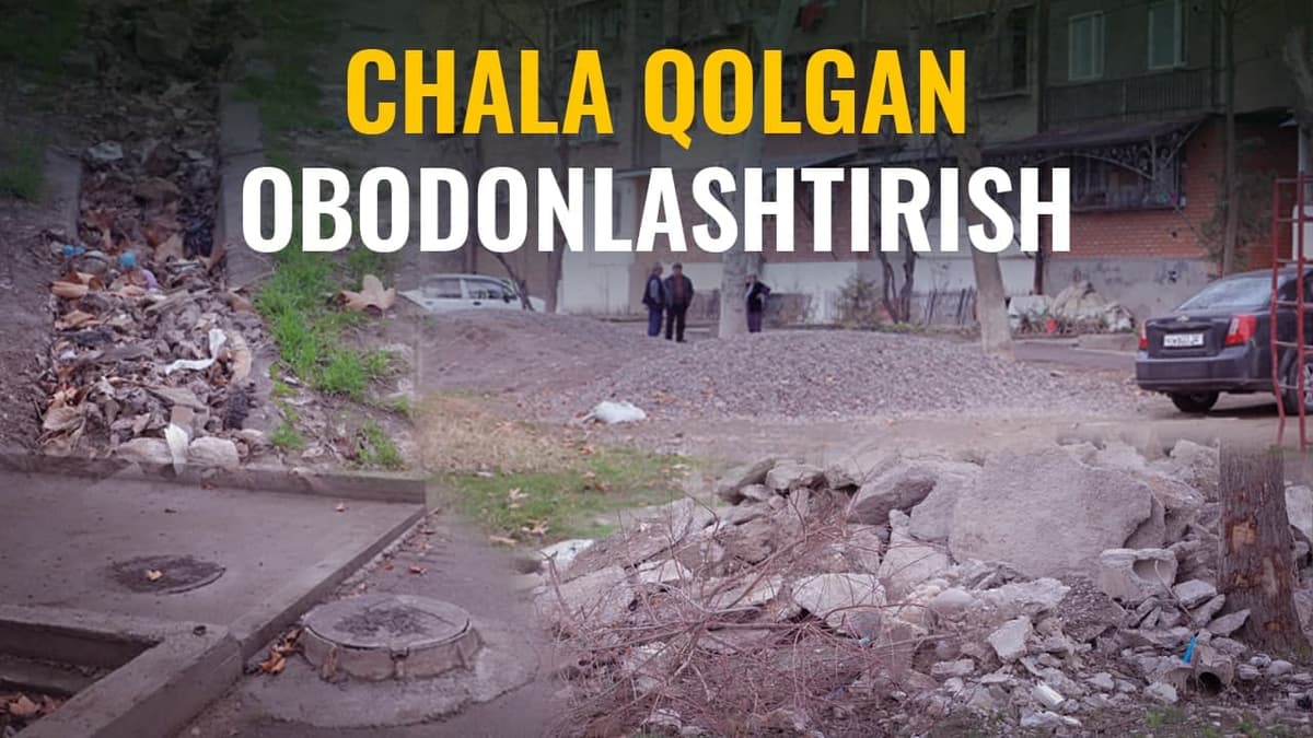 Chilonzordagi mahallani obodonlashtirish nega chala tashlab ketildi?