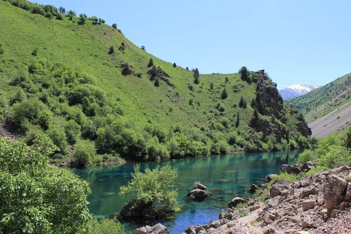 4 ta hududda milliy tabiat bog‘lari tashkil etiladi