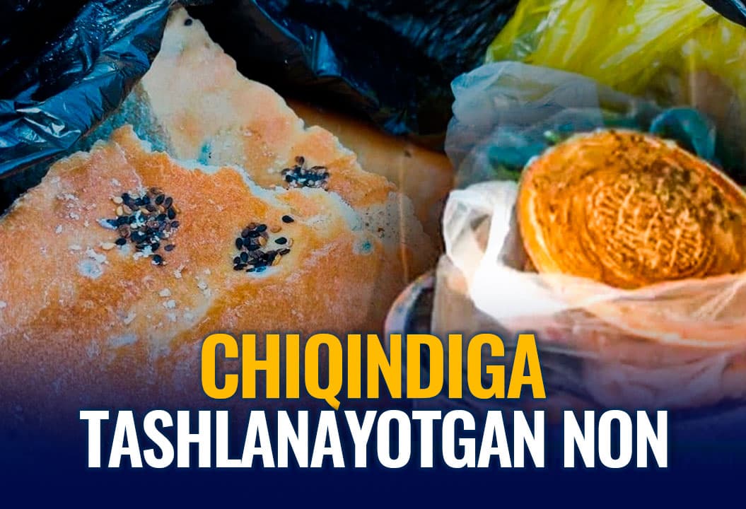 Hayotiy hikoya: Chiqindiga tashlangan non