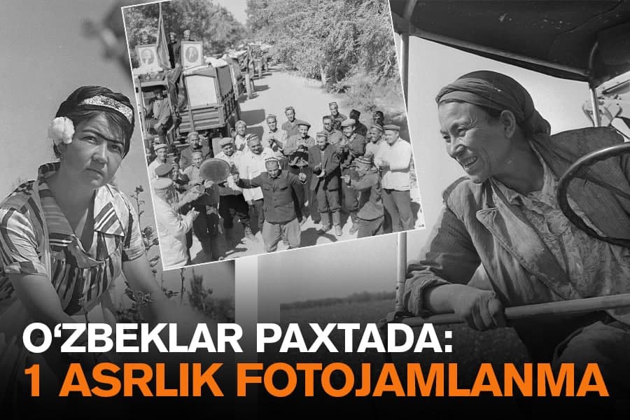 Kuniga 1 tonna paxta tergan ayol, qor ostidagi terimchilar – paxta dalasida o‘tgan 100 yildan katta fotojamlanma