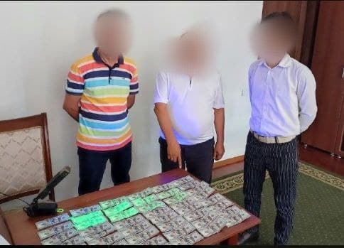 В Самарканде пойман начальник отделения вуза, пытавшийся устроить клиента на учебу за $5000