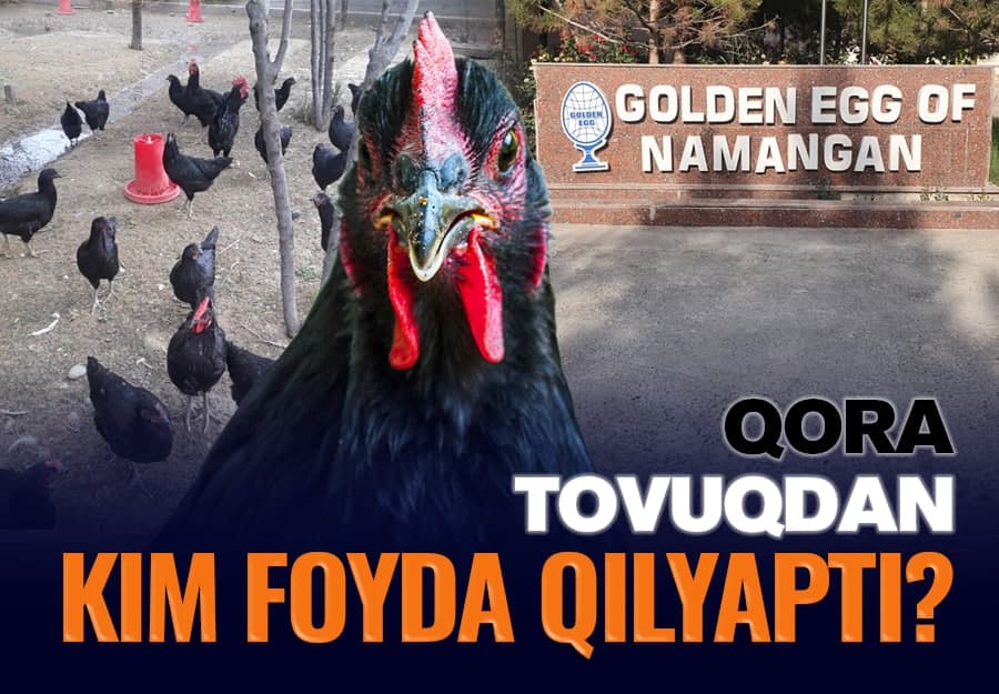 Namanganda parranda monopoliyasini yaratayotganlar, qo‘llab-quvvatlayotganlar kim?