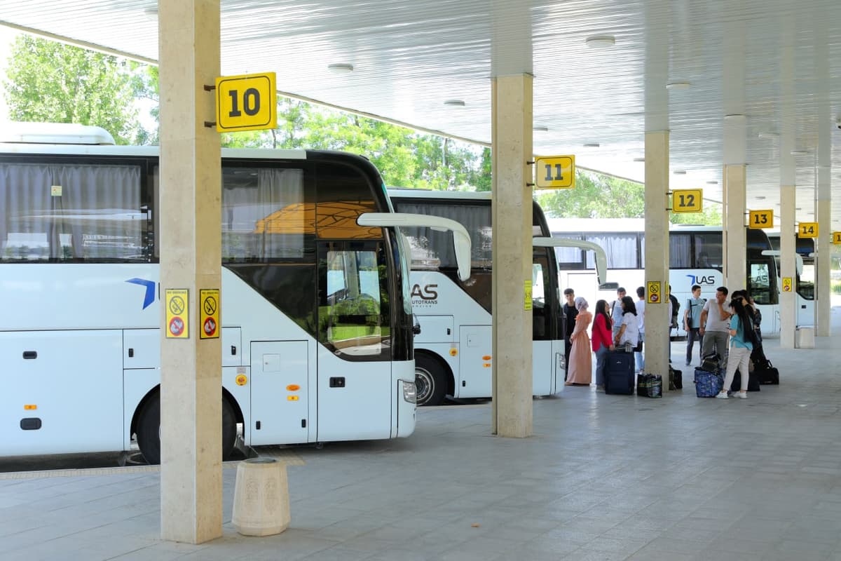 Transport vazirligi Rossiyaga avtobus qatnovlarida yo‘lovchilar xavfsizligi qanday ta’minlanishini tushuntirdi