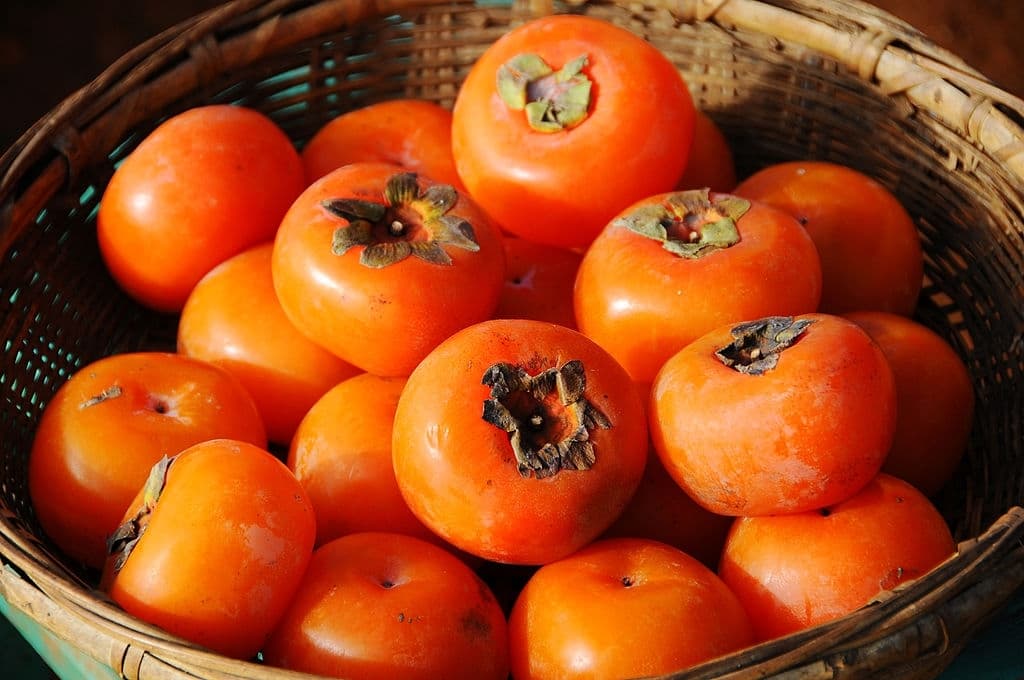 Persimmon exports bring Uzbekistan nearly $17 million in 10 months