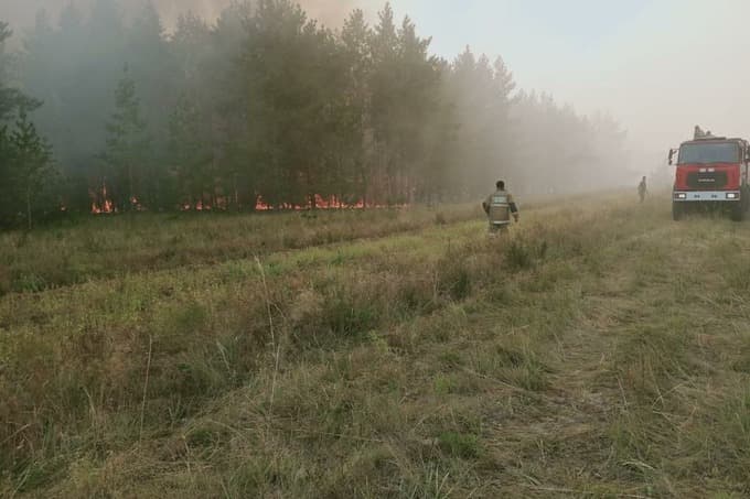 Мирзиёев предложил Токаеву помощь в ликвидации последствий лесных пожаров 