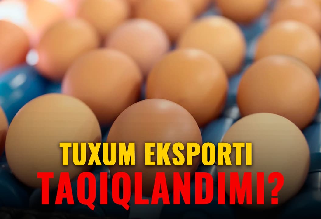 Tuxum eksporti taqiqlanganiga izoh berildi