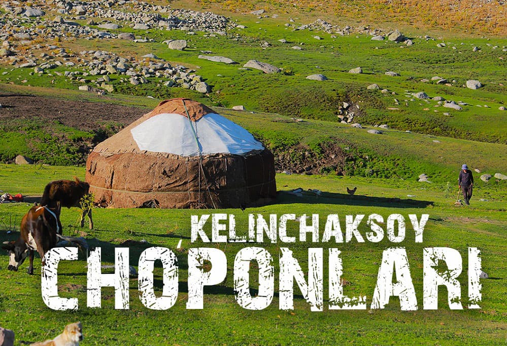 Bo‘ri, ayiq, kiyiklar va tog‘ qori orasidagi hayot - Kelinchaksoy cho‘ponlari | Manzil