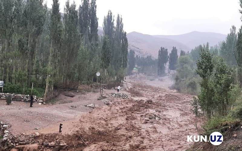 Sel suvi faqat zararmi? – Uni boshqarish va foydalanish mumkin