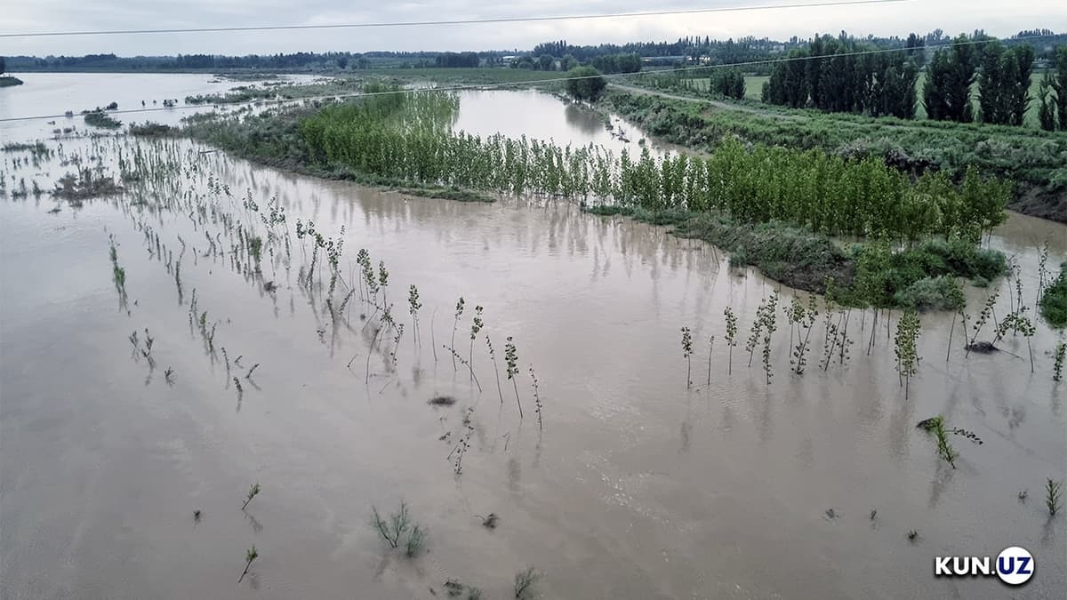 Andijonda yomg‘irlar oqibatida Qoradaryo toshdi