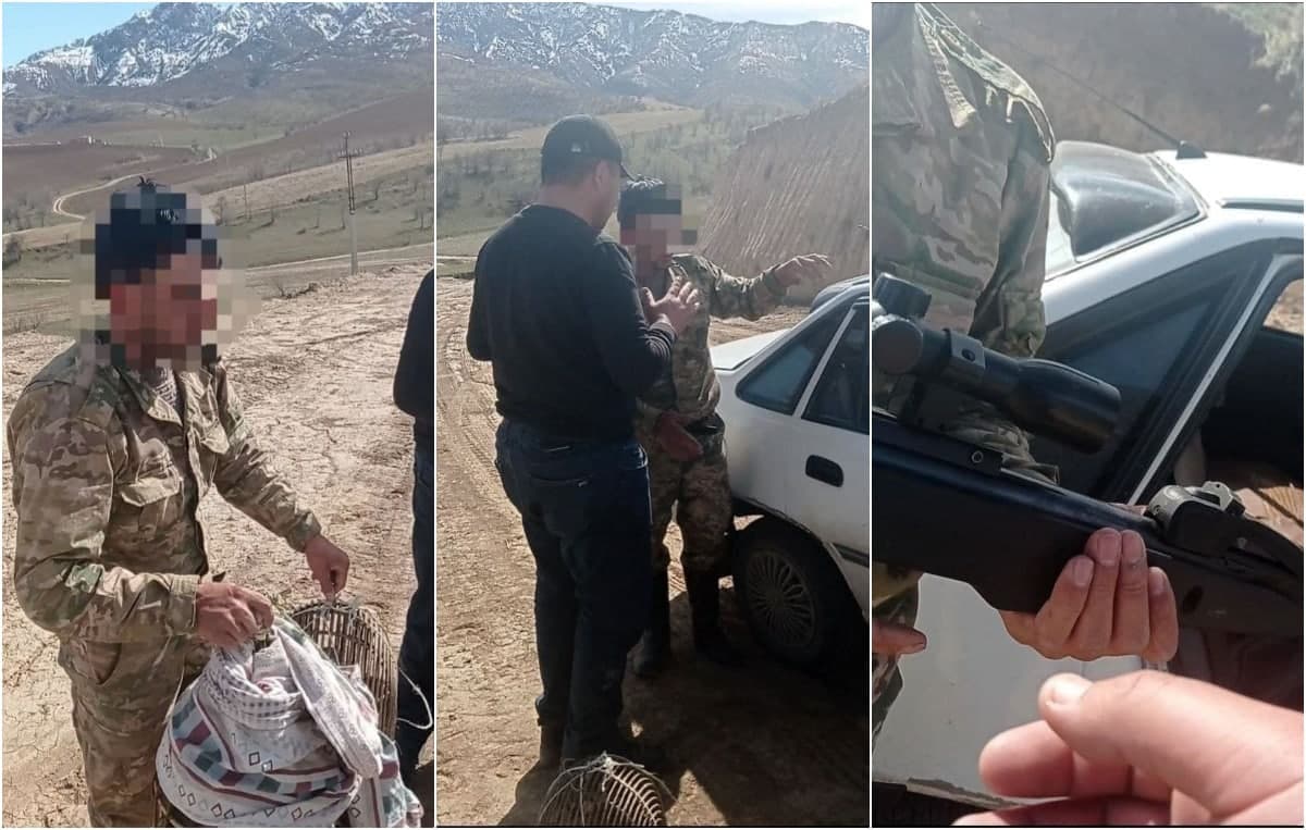 Qashqadaryoda ov qilish taqiqlangan pnevmatik miltiq bilan ov qilib yurgan shaxs ushlandi