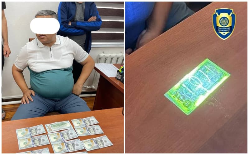 Toshkentda «prava» olib berishni va’da qilgan o‘quv tashkiloti rahbari ushlandi
