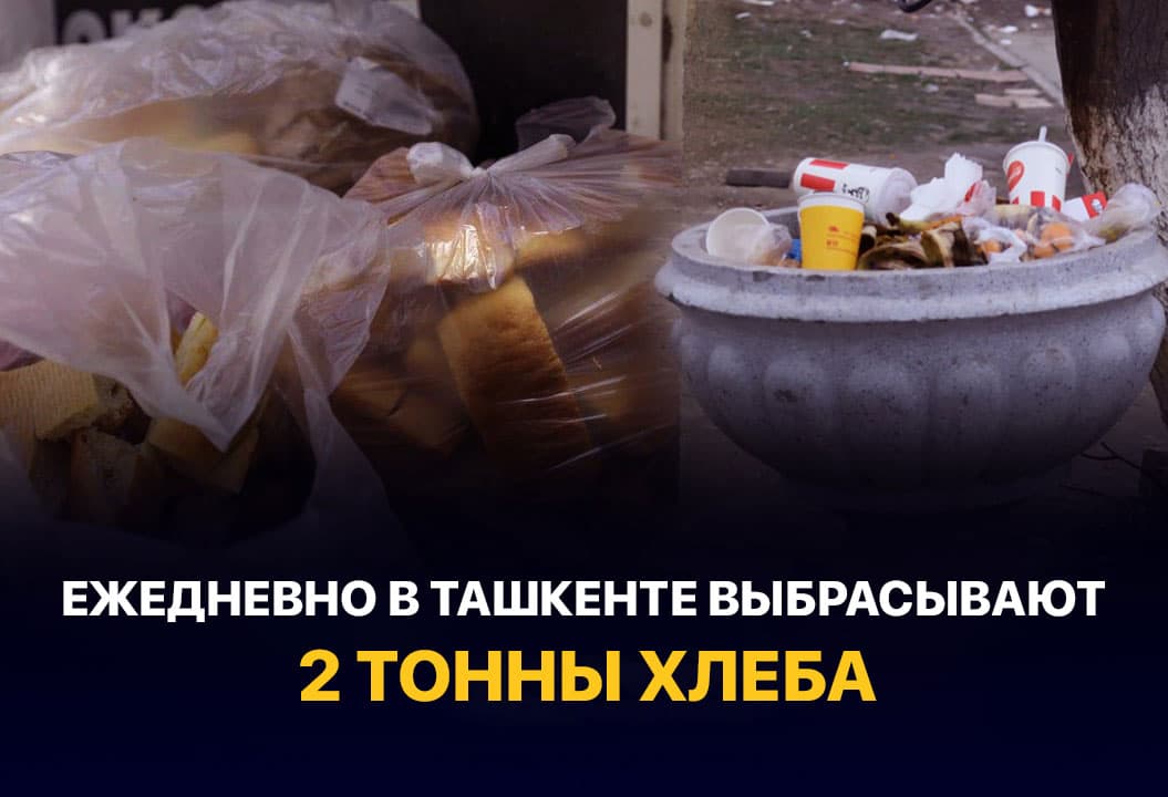 Остается надежда, что лето не станет еще жарче. Влияние несортированных отходов на климат