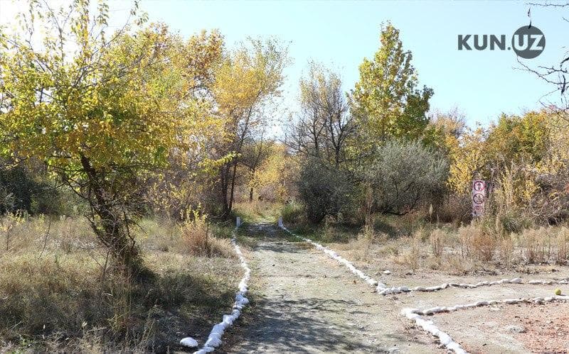 “Ekoturizm deya Zarafshon qo‘riqxonasi dam olish zonasiga aylantirib yuborilgan” - ekspert