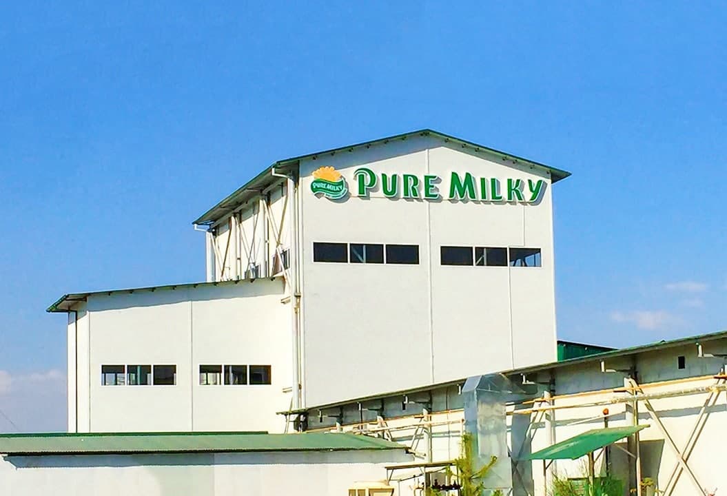 Pure Milky – tabiiy sut mahsulotlari, tabiiy hayot uchun
