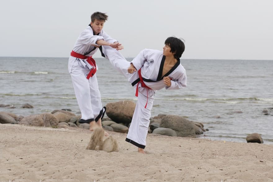 Hapkido – kuch, energiya va ahillikda birlashish