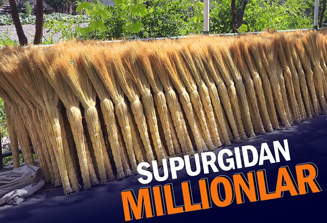 Supurgi ortidan million daromad qilayotgan bo‘stonliklar