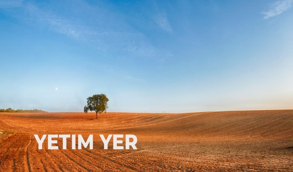 Yerlarimiz shiddat bilan ishdan chiqyapti, chunki... tayinli egasi yo‘q
