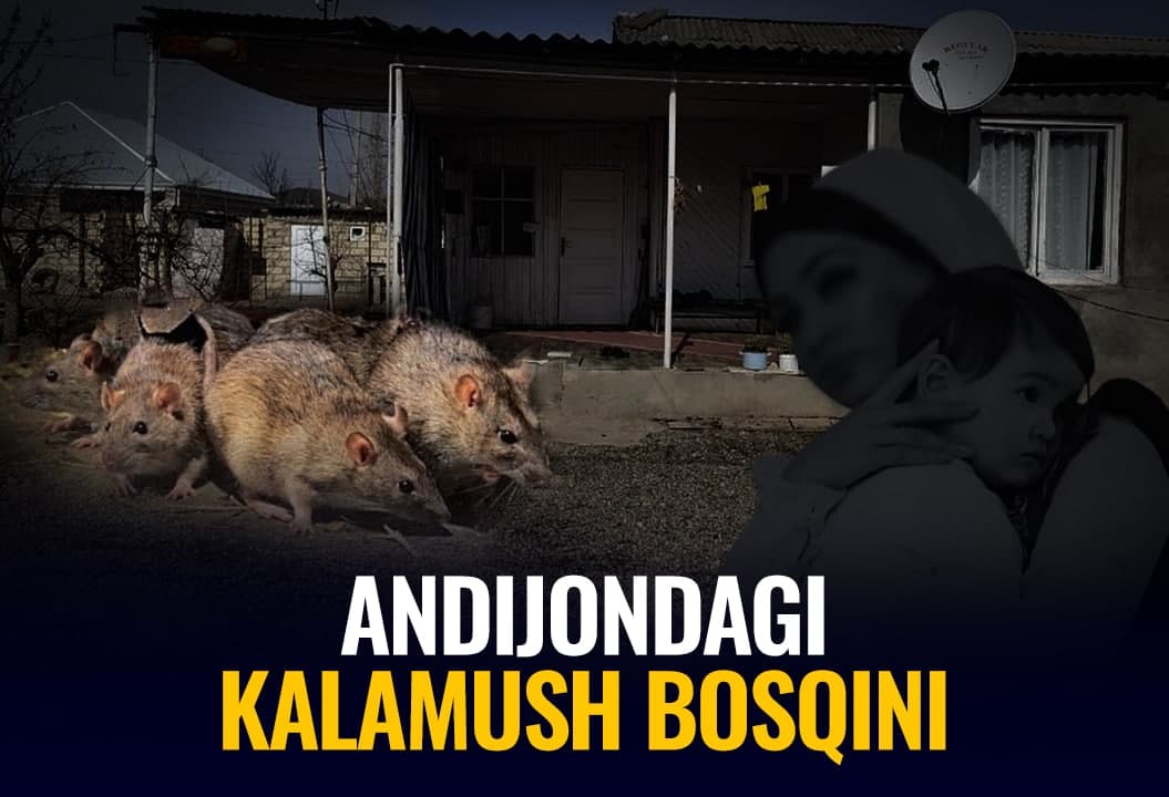 “Одамлар қўрқувдан ёш чақалоқларни қучиб ётарди”: Андижондаги каламуш босқини