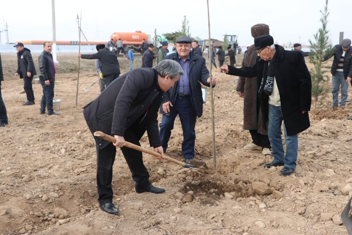 Yaqin uch yil ichida Qashqadaryoda 90 gektar bog‘ va 87 gektar yashil jamoat parklari paydo bo‘ladi