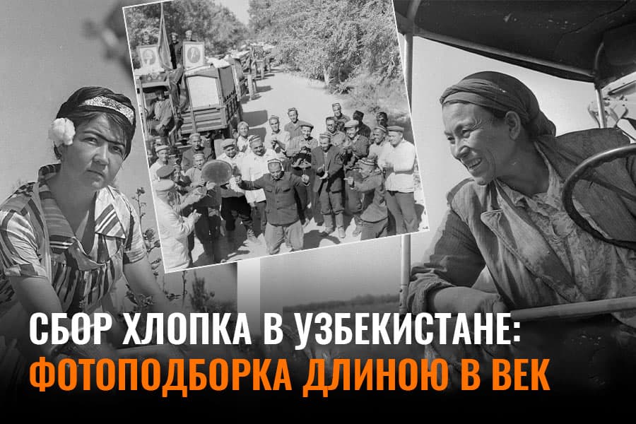 100 лет на хлопковом поле – историческая фотоподборка о самоотверженном труде хлопкоробов Узбекистана  