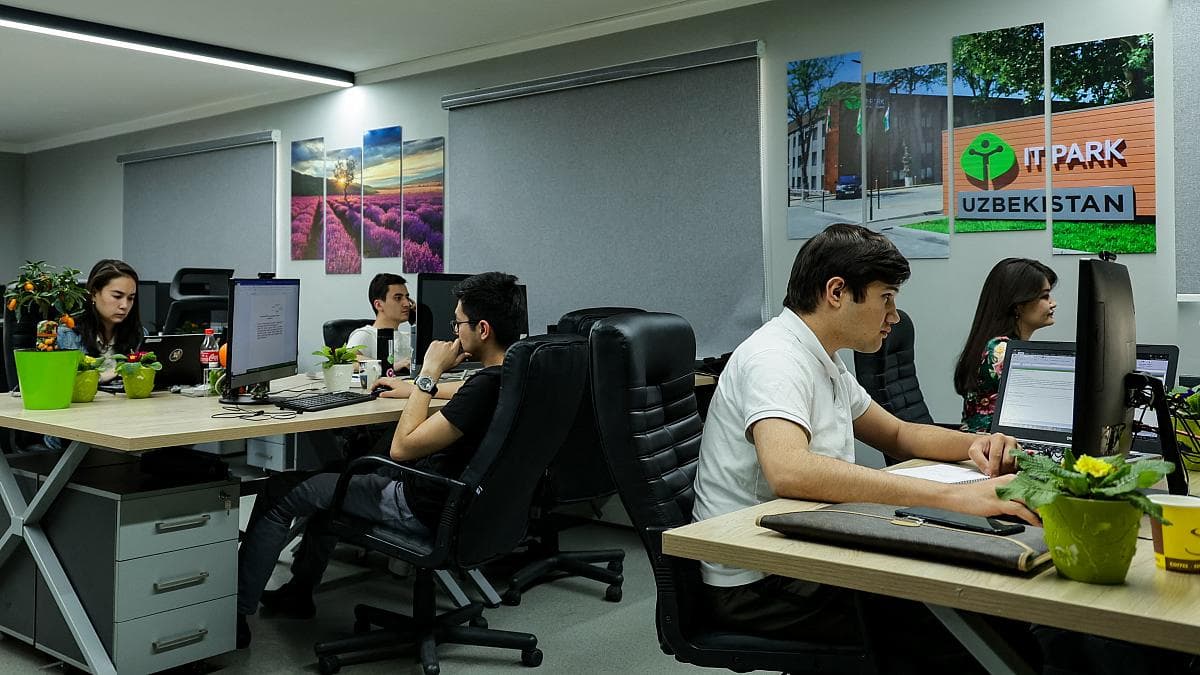 IT specialists are choosing Uzbekistan – Euronews