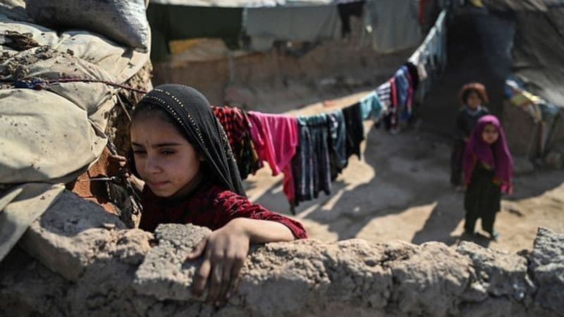«Убивали в домах, школах и магазинах»: Amnesty International выпустила новый доклад о зверствах талибов в Афганистане