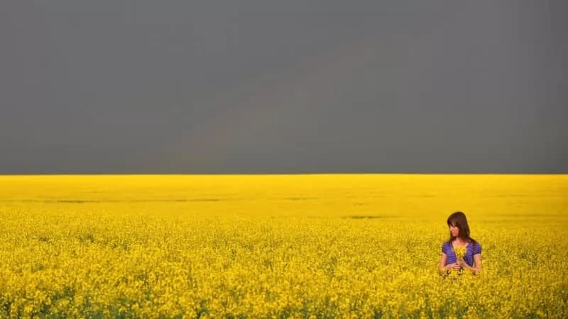 Ukrainadagi urush dunyoga ochlik tahdidi soladimi?