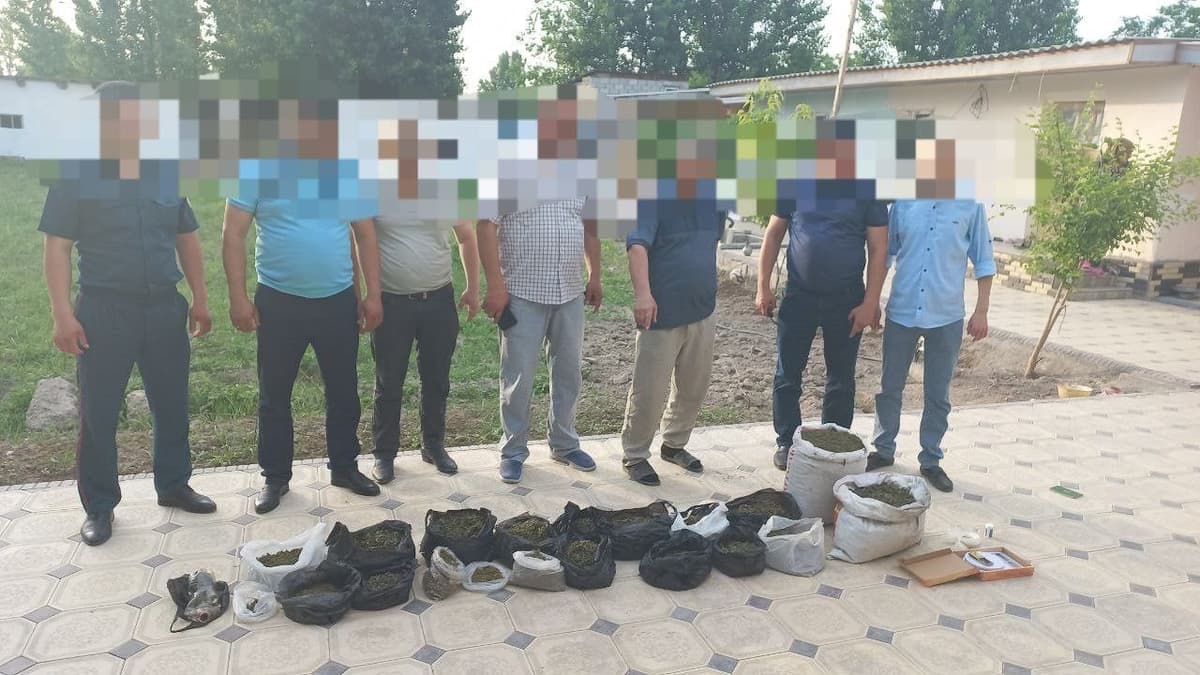 Sirdaryoda 13 kilogramm giyohvandlik moddalarini saqlab kelayotgan shaxs ushlandi