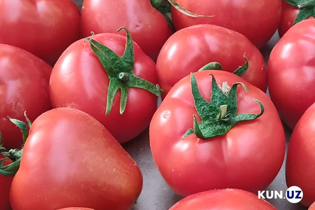 Russia lifts all restrictions on supply of tomatoes and peppers from Uzbekistan