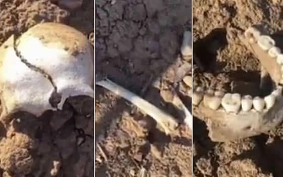 На берегу Чарвака обнаружены человеческие останки