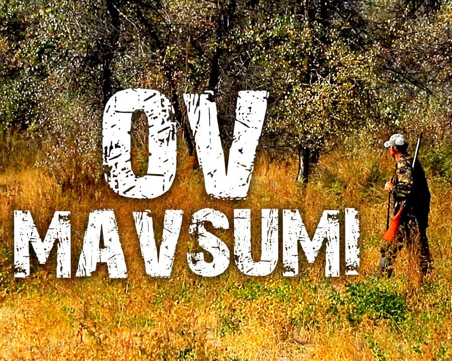 Baliq va hayvon ovlash: mas’uliyatli ovchining qoidalari | “Manzil”