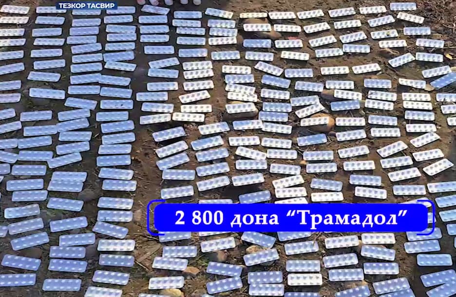 DXX Farğonada 1,5 mlrd sömlik psixotrop dorilarni musodara qildi