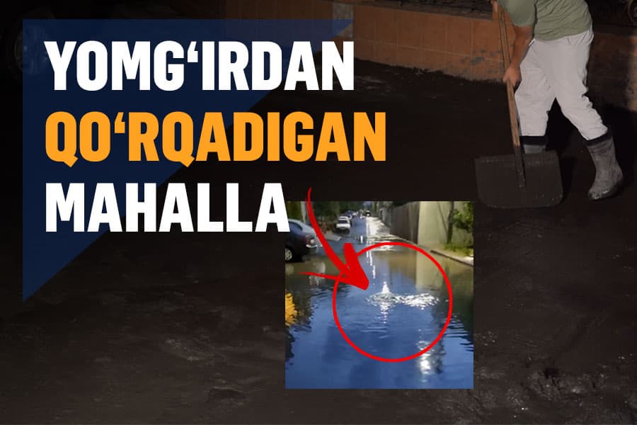 Balchiq hidini «yutib» yashayotganlar – Chilonzor mas’ullari va’dasida turadimi?  