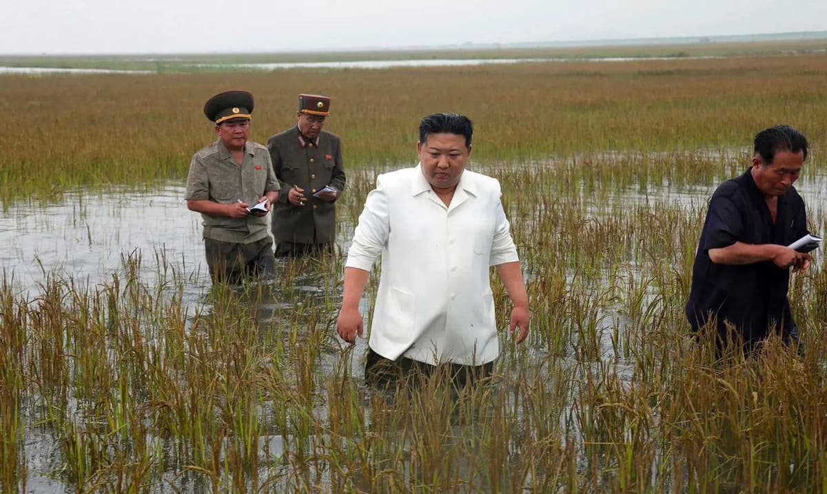 Foto: Kim Chen In tizza bo‘yi suv kechib sholipoyaga kirdi va amaldorlarga dakki berdi
