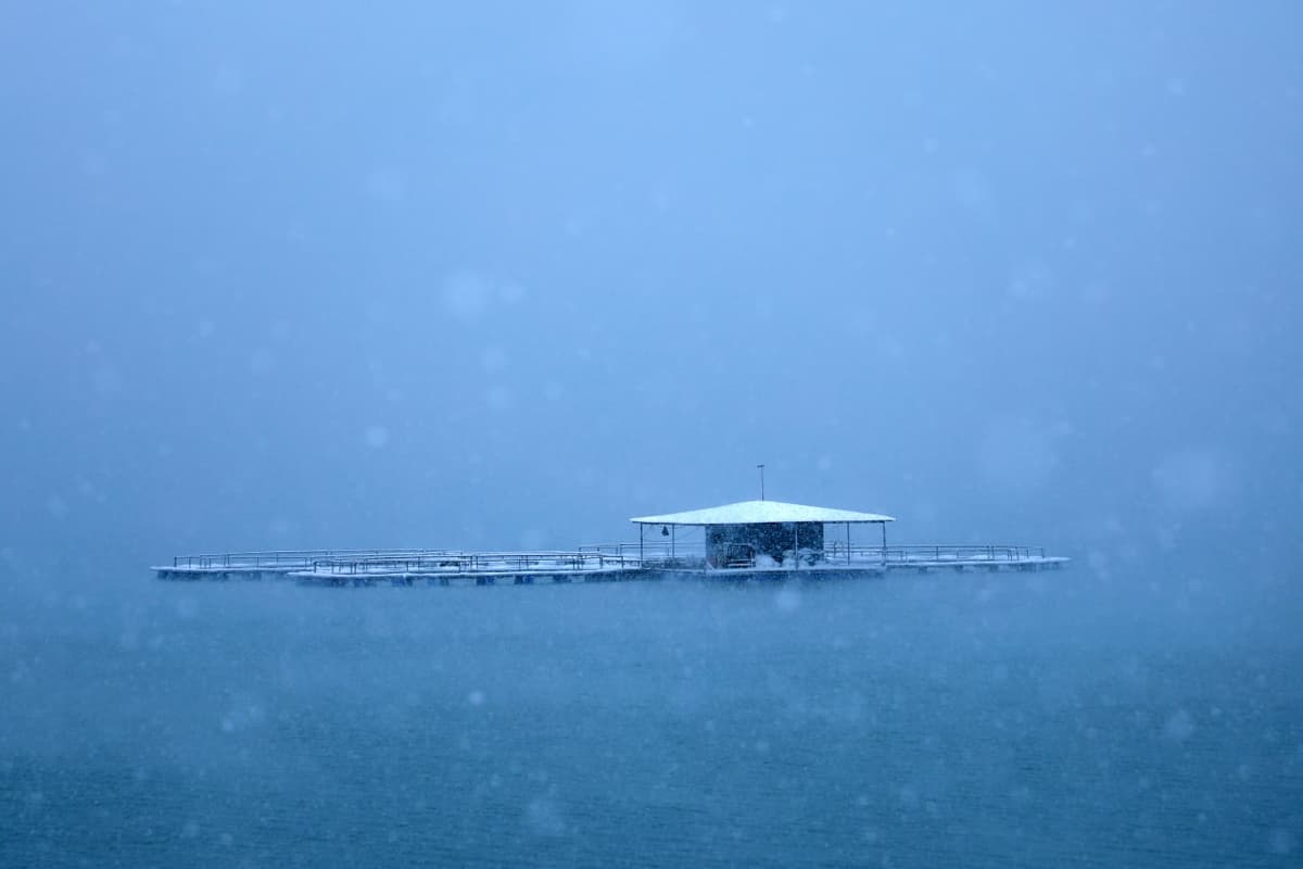 «Tuyabo‘g‘iz» suv ombori qorovuli ko‘mir isidan zaharlandi