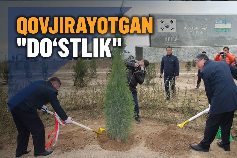Navoiyda qariyb 3,3 mln dollarlik “yashil loyiha” qarovsiz qoldi