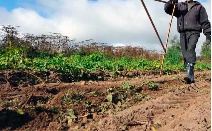 Xorazm viloyatida 225 gektar yer maydoni o‘zboshimchalik bilan egallab olingani ma’lum bo‘ldi 