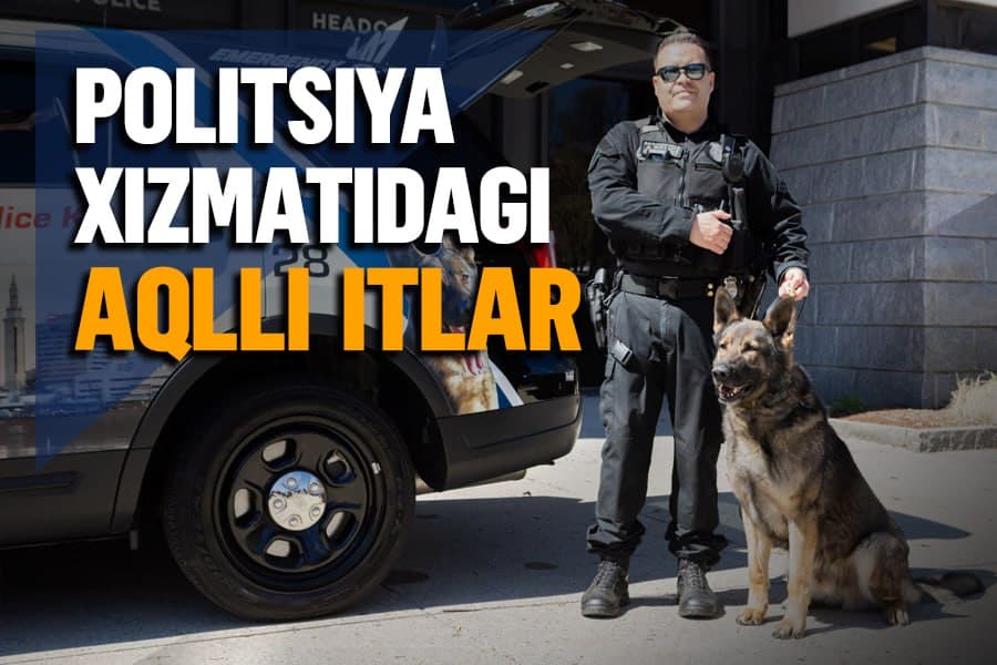 Politsiyaning xizmat itlari: ulardan qachondan foydalana boshlangan va hozir qanday tayyorladi?