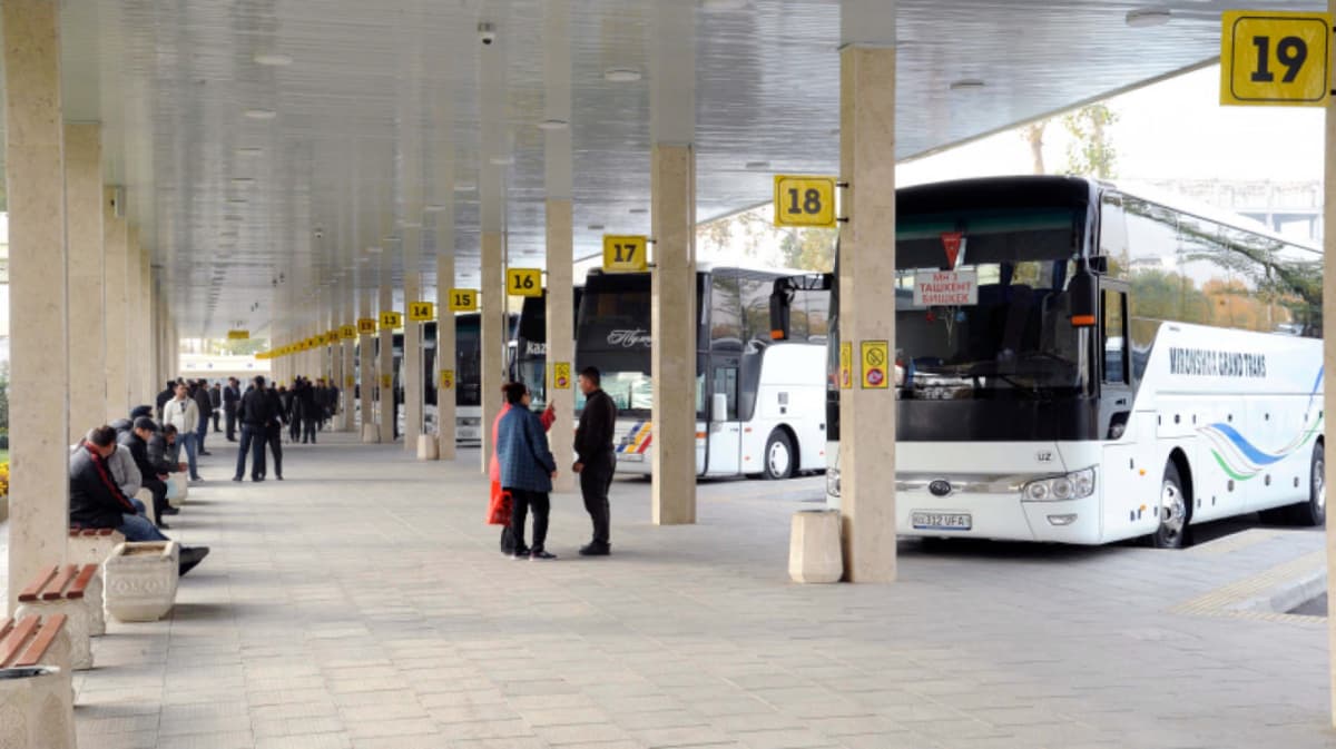 Regular bus services on international routes temporarily suspended from today