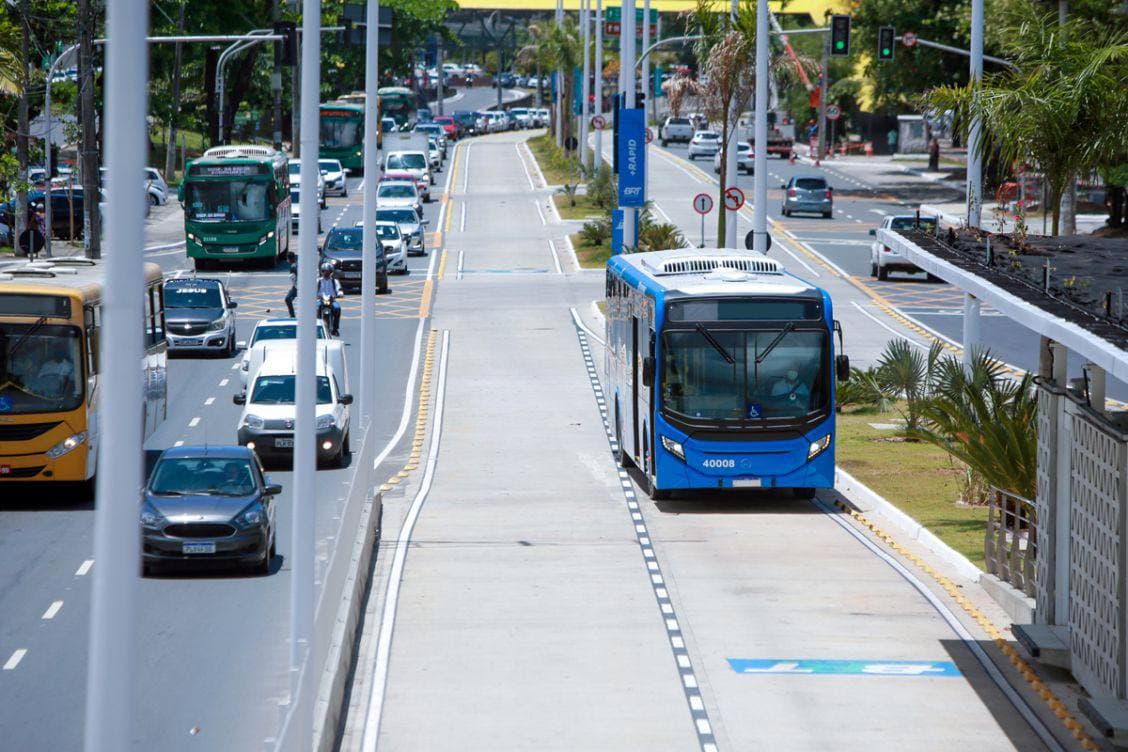 На некоторых улицах Ташкента будут организованы отдельные полосы для автобусов